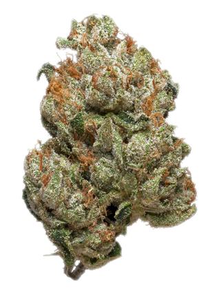 King Kong - Hybrid Cannabis Strain
