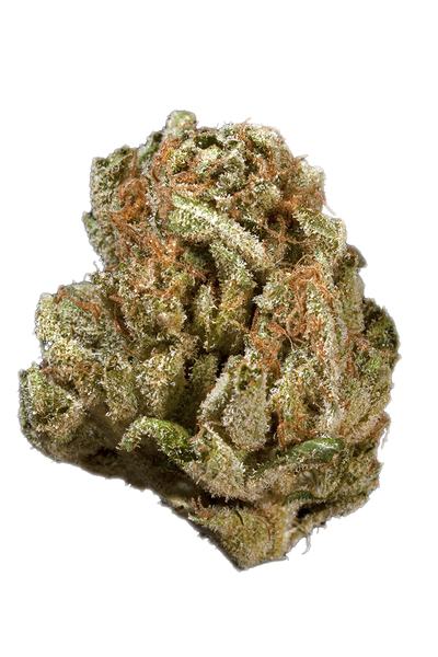 King's Kush - Indica Cannabis Strain