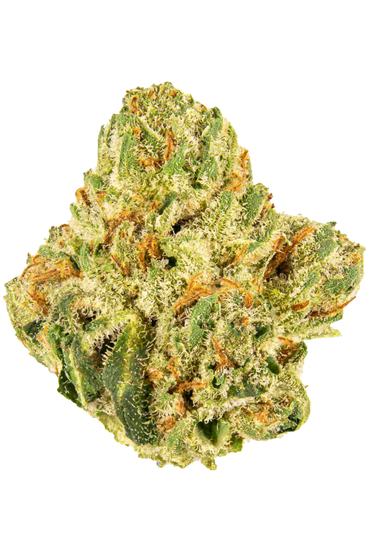 King Louis XIII - Hybrid Cannabis Strain