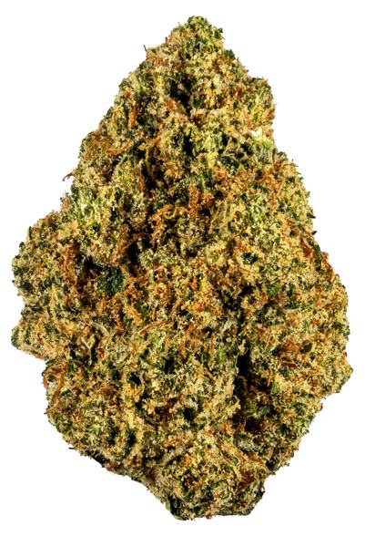 King Tut - Sativa Cannabis Strain