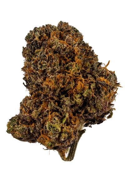 King's Blend - Hybrid Cannabis Strain