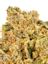 King's Fire #4 Hybrid Cannabis Strain Thumbnail