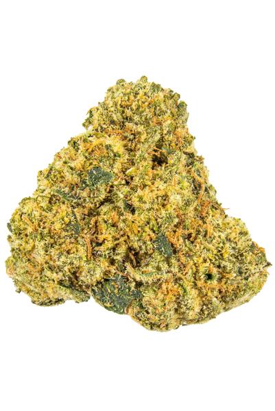 King's Stash - Hybrid Cannabis Strain