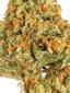 Kingsley Indica Cannabis Strain Thumbnail