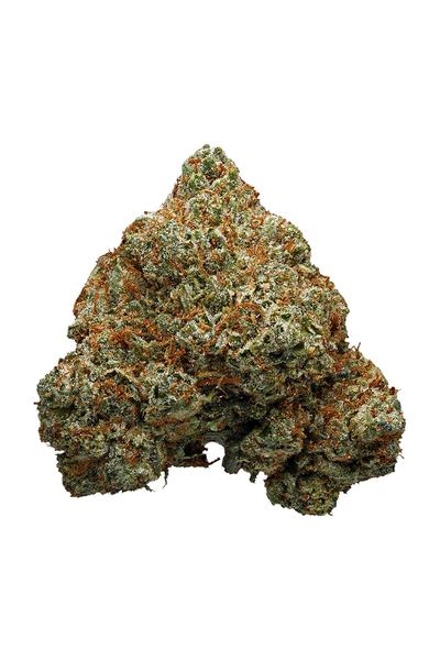 Knockout OG - Hybrid Cannabis Strain