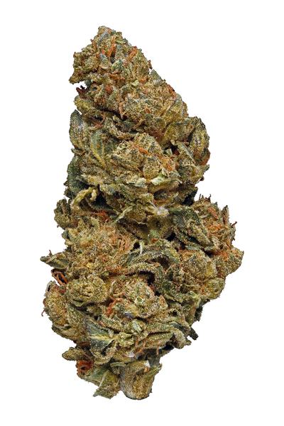 Kong - Híbrida Cannabis Strain