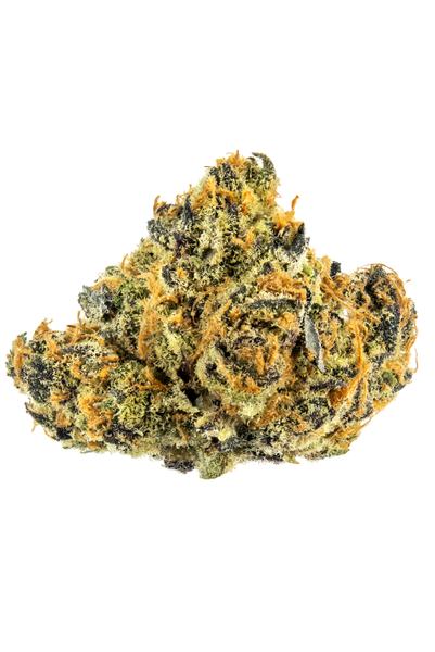 Kooks - Hybrid Cannabis Strain