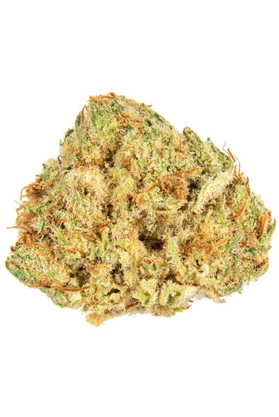 Kronocaine - Híbrida Cannabis Strain