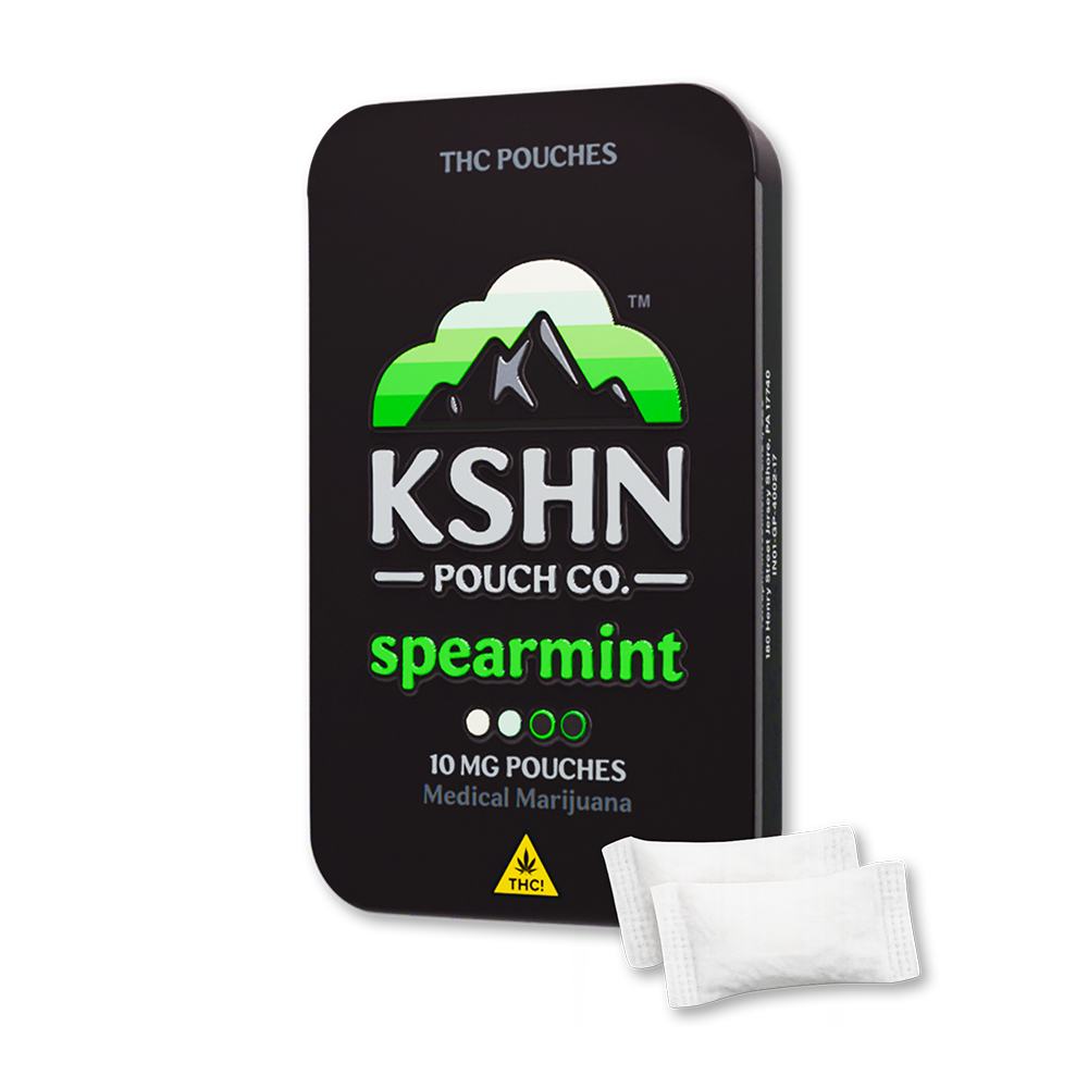 Spearmint 10mg THC Pouches Product Image