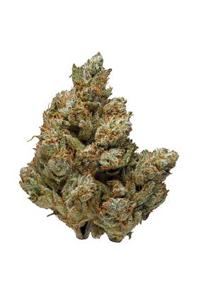 Kush Co OG - Híbrida Cannabis Strain