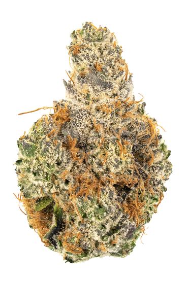 Kush Cookies - Hybrid Cannabis Strain