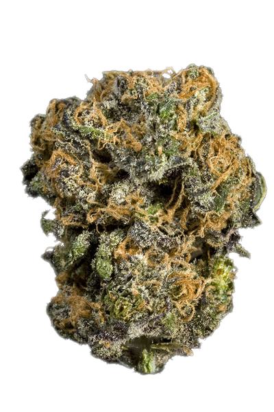 Kushage - Híbrida Cannabis Strain