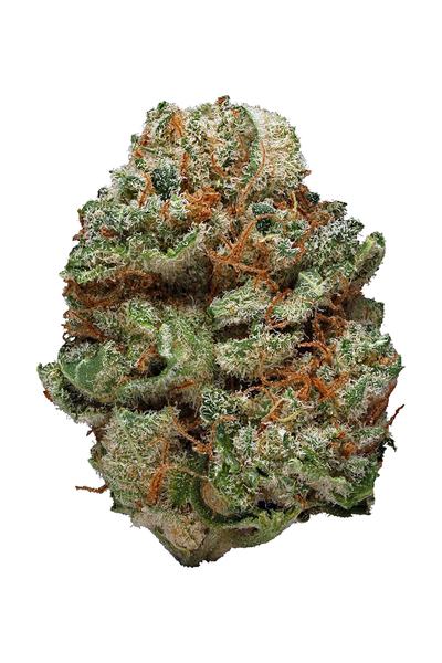 Kushberry - Hybrid Cannabis Strain