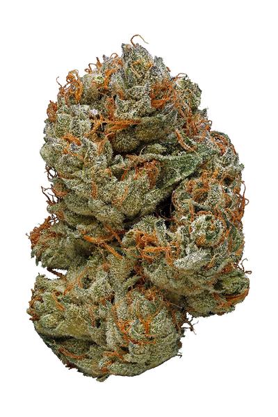 LA Cheese - 混合物 Cannabis Strain