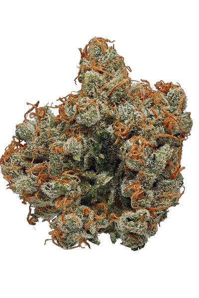 LA Cookies - Híbrida Cannabis Strain
