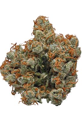LA Cookies - Híbrido Cannabis Strain