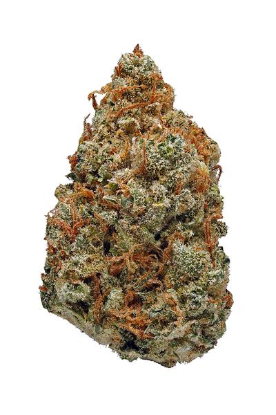 LSD - Híbrida Cannabis Strain