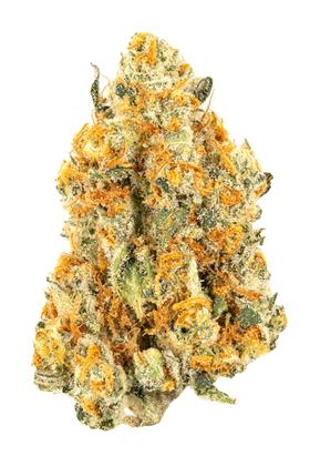 La Bomba - 混合物 Cannabis Strain
