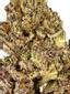 LA Kush Cake Hybrid Cannabis Strain Thumbnail