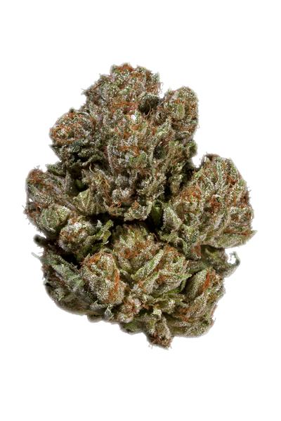 LA Kush - Hybrid Cannabis Strain