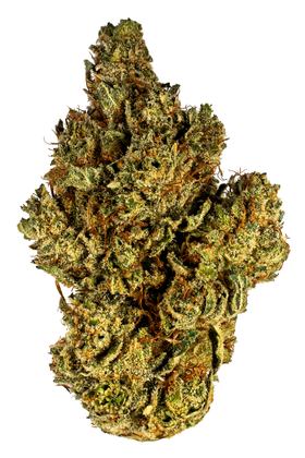 La Palma OG - Hybrid Cannabis Strain