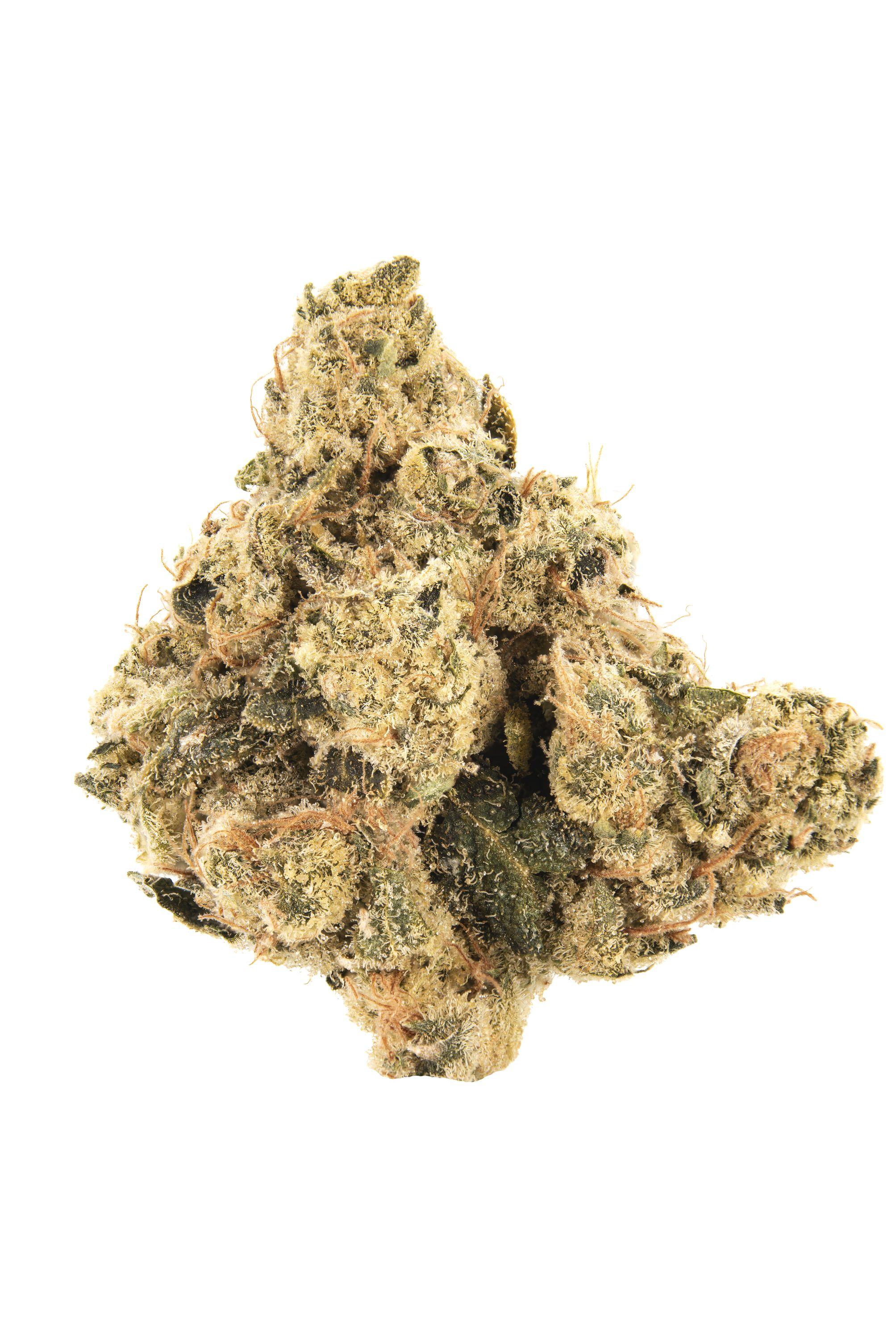 LA Tar Mints Cannabis Strain Bud