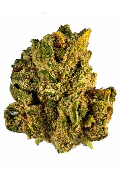 Larry OG - Híbrida Cannabis Strain