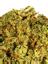 Las Vegas Kush Hybrid Cannabis Strain Thumbnail