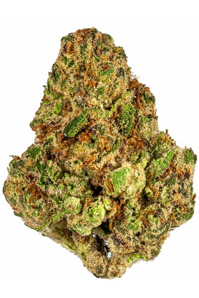 Lava Cake - Híbrida Cannabis Strain