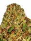 Lava Cake Hybrid Cannabis Strain Thumbnail