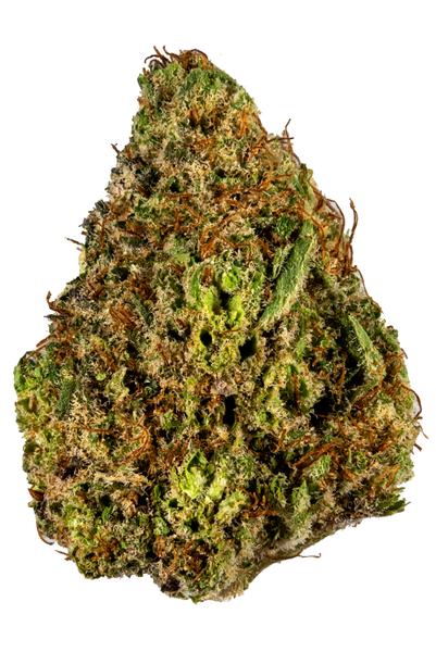Lavender Diesel - Hybrid Cannabis Strain