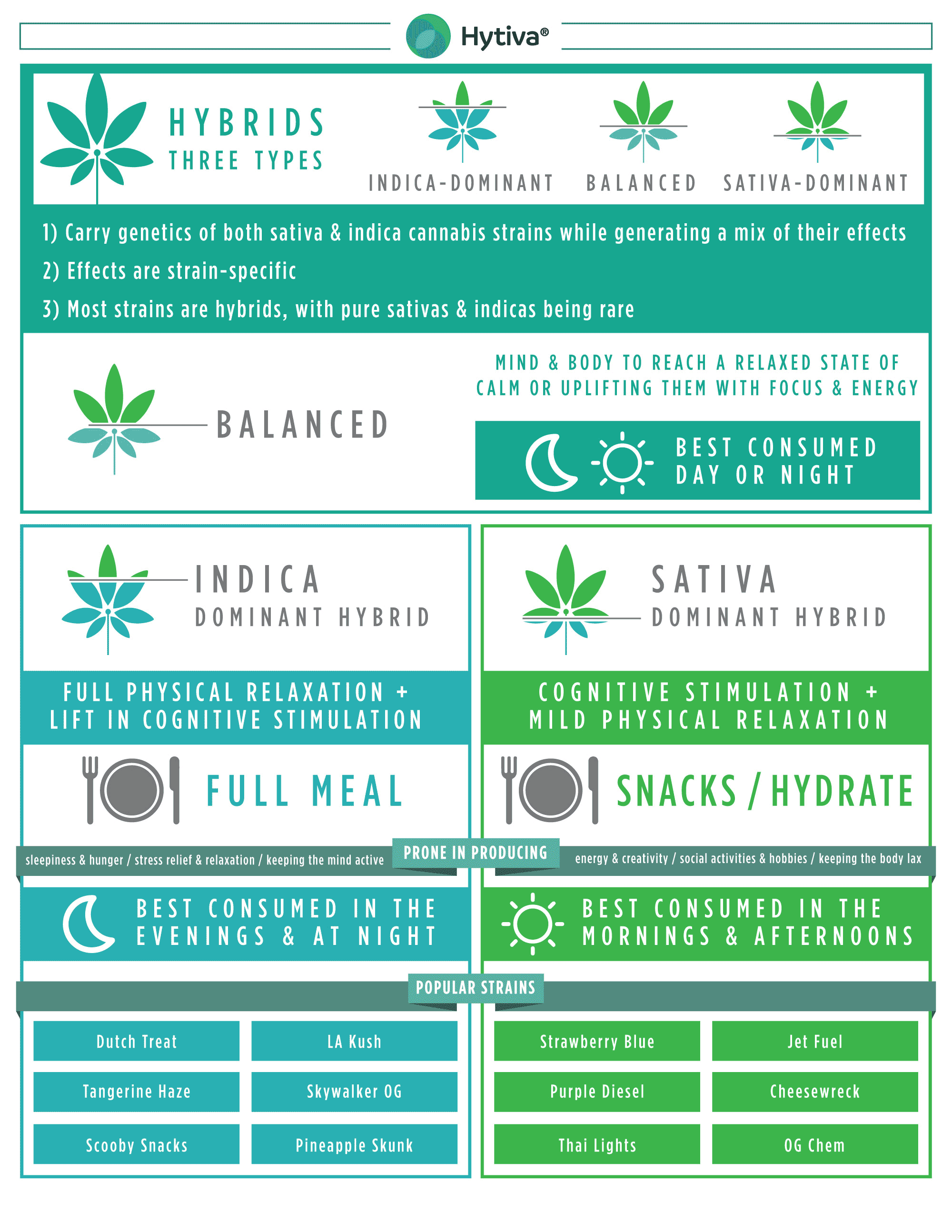 The Hytivac info graphic explains the differences between 3 cannabis hybrids, indica-dominant, balanced and sativa-dominant.