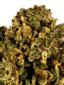 Lee Roy TK Indica Cannabis Strain Thumbnail