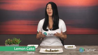 Lemon Cake - Hybrid Strain