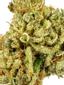 Lemon Dawg Hybrid Cannabis Strain Thumbnail