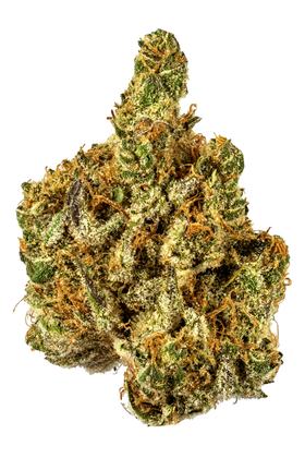 Lemon Drop Cookies - Hybrid Cannabis Strain