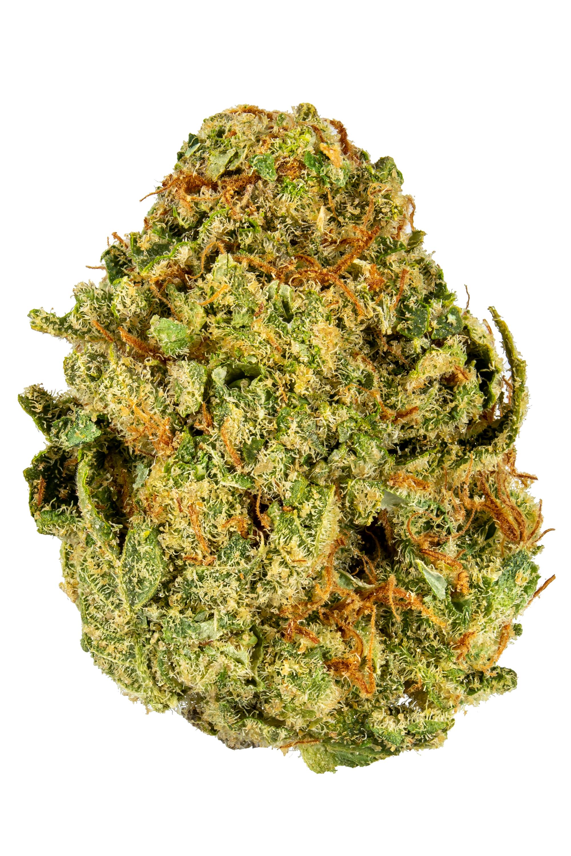 Lemon Gorilla - Hybrid Cannabis Strain