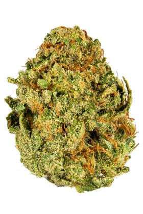 Lemon Gorilla - Híbrida Cannabis Strain