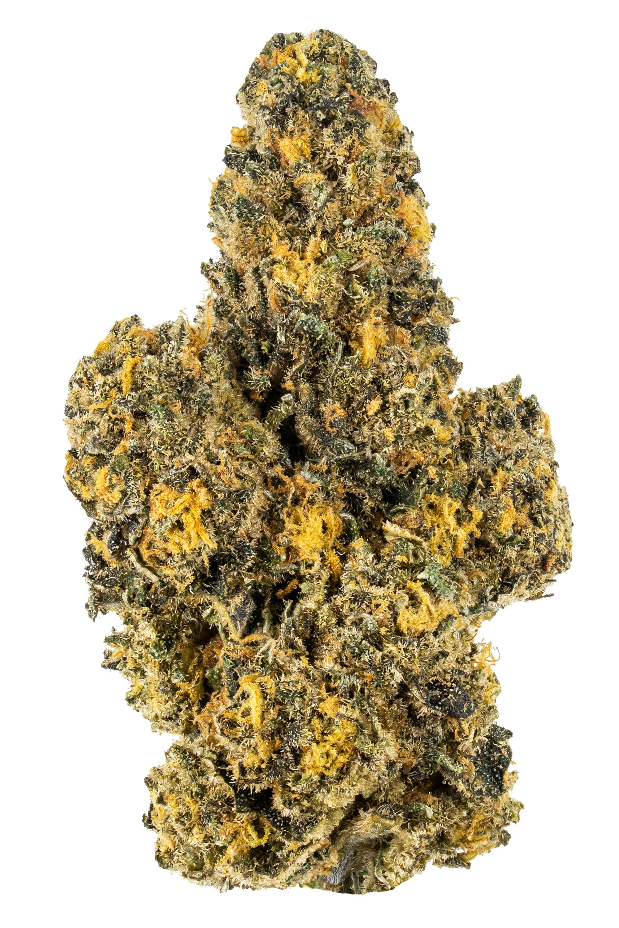 Lemon Granita Strain - Hybrid Cannabis Video, CBD, THC, Terps : Hytiva