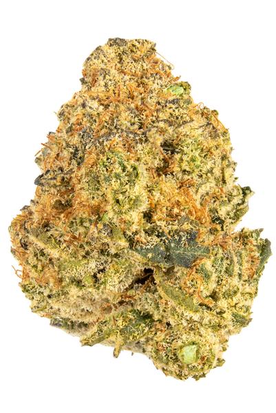 Lemon Grass - Híbrida Cannabis Strain