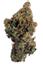 Lemonhead OG Hybrid Cannabis Strain Thumbnail