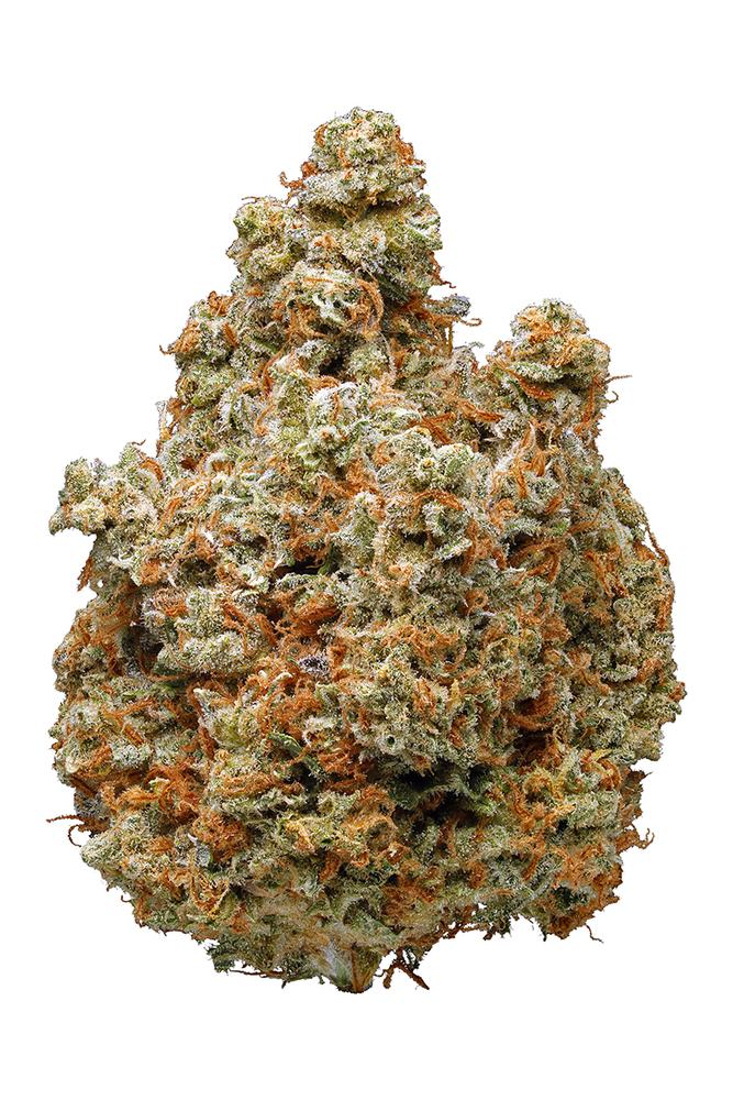 Lemon Kush Strain - Hybrid Cannabis Review, CBD, THC, Terpenes : Hytiva