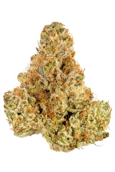 Lemon Snow Cone - Híbrida Cannabis Strain