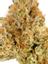 Lemon Snow Cone Hybrid Cannabis Strain Thumbnail