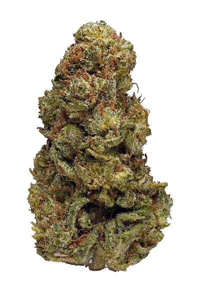 Lemon Tree - Híbrido Cannabis Strain