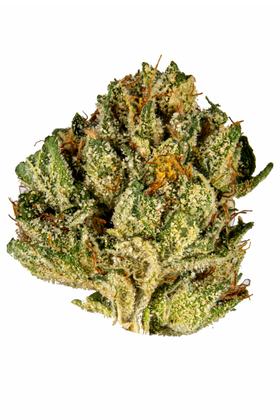 Lemon Walker - Hybrid Cannabis Strain
