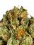 Lemon Walker Hybrid Cannabis Strain Thumbnail