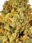 Lemon Zest Hybrid Cannabis Strain Thumbnail