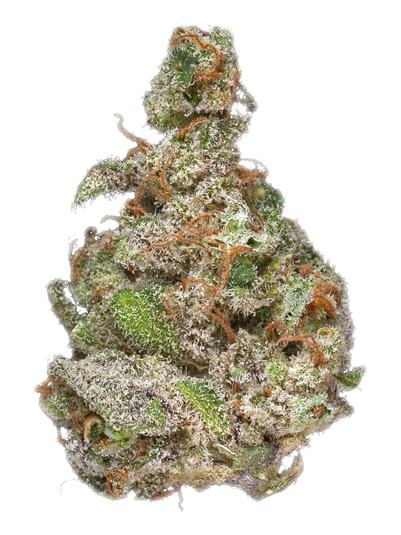 Lemonberry - Híbrida Cannabis Strain