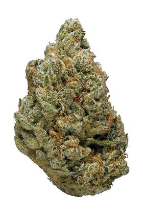 Leroy OG - Hybrid Cannabis Strain